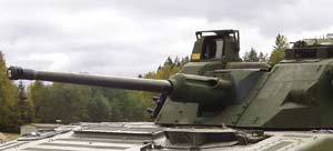 Bushmaster IV